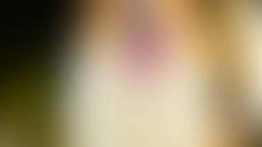 Soyut PUI20 Işık Arkaplan Duvar Kağıdı Renkli Gradyan Bulanık Yumuşak Yumuşak Hareket Parlaklığı