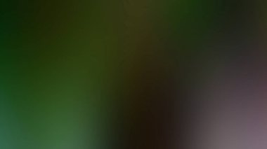 Soyut ışık arkaplan duvar kağıdı rengarenk bulanık yumuşak hareket parlak parlama