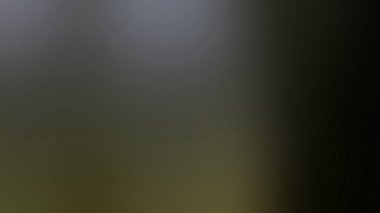 çokgen desenli yaratıcı prizmatik arkaplan