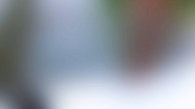 Soyut ışık arkaplan duvar kağıdı rengarenk bulanık yumuşak hareket parlak parlama