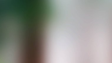 Soyut ışık arkaplan duvar kağıdı rengarenk bulanık yumuşak hareket parlak parlama