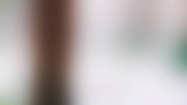 Soyut ışık arkaplan duvar kağıdı rengarenk bulanık yumuşak hareket parlak parlama