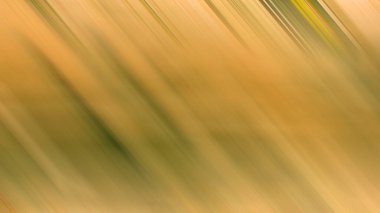 Soyut Desenli Arkaplan Duvar Kağıdı Web Gradyan 