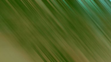 Soyut Desenli Arkaplan Duvar Kağıdı Web Gradyan 