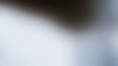 soyut arkaplan duvar kağıdı renk web pankartı