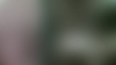 açık gri gradyan arkaplan