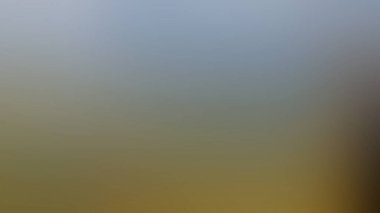 Soyut Desenli Arkaplan Duvar Kağıdı Web Gradyan 