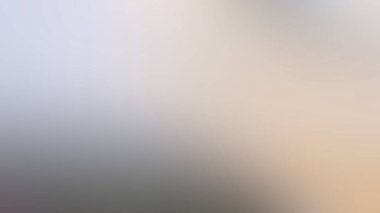 Soyut Desenli Arkaplan Duvar Kağıdı Web Gradyan 