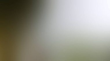 Soyut Desenli Arkaplan Duvar Kağıdı Web Gradyan 