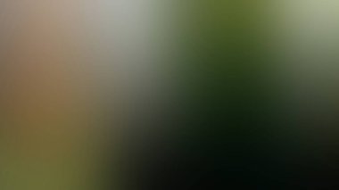 Soyut Desenli Arkaplan Duvar Kağıdı Web Gradyan 