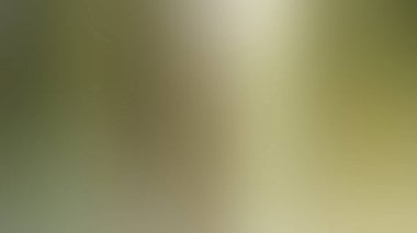 Soyut Desenli Arkaplan Duvar Kağıdı Web Gradyan 