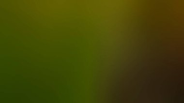 Soyut Desenli Arkaplan Duvar Kağıdı Web Gradyan 