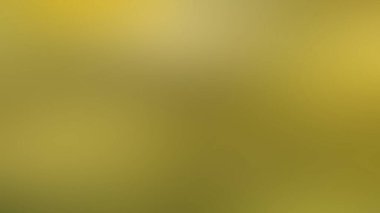 Soyut Desenli Arkaplan Duvar Kağıdı Web Gradyan 