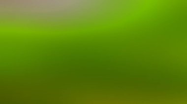 Soyut Desenli Arkaplan Duvar Kağıdı Web Gradyan 