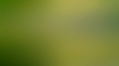 Soyut Desenli Arkaplan Duvar Kağıdı Web Gradyan 