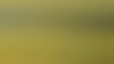 Soyut Desenli Arkaplan Duvar Kağıdı Web Gradyan 