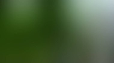 Soyut Desenli Arkaplan Duvar Kağıdı Web Gradyan 