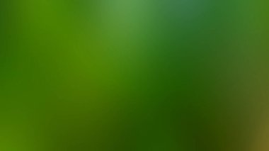 Soyut Desenli Arkaplan Duvar Kağıdı Web Gradyan 