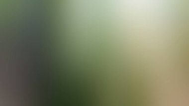 Soyut Desenli Arkaplan Duvar Kağıdı Web Gradyan 