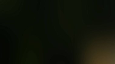 Soyut ışık arkaplan duvar kağıdı rengarenk bulanık yumuşak hareket parlak parlama