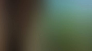 Soyut Desenli Arkaplan Duvar Kağıdı Web Gradyan 