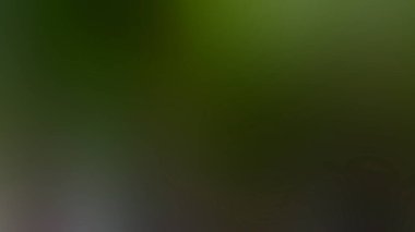 Soyut Desenli Arkaplan Duvar Kağıdı Web Gradyan 