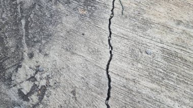 Gri ahşap doku. doğal arkaplan