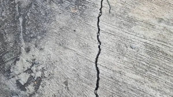 Gri ahşap doku. doğal arkaplan
