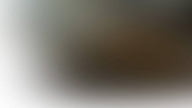 Soyut Desenli Arkaplan Duvar Kağıdı Web Gradyan 