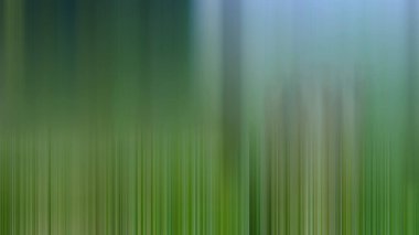 düşey çizgiler, duvar kağıdı arkaplanı, kopyalama alanı veya fikirler