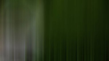 yeşil arkaplan dokusu duvar kağıdı tasarımı