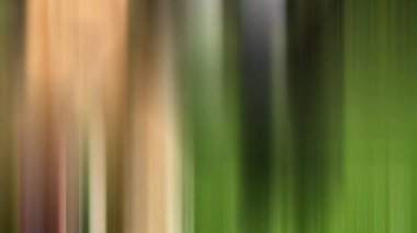 Bulanık ışık izleri renkli arkaplan