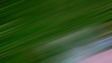 Soyut renkli çizgiler ve dalgalar. vektör arkaplanı, kopyalama alanı deseni