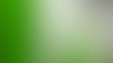 yeşil gradyan / soyut bulanık yeşil arkaplan