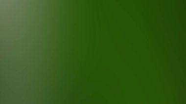 abstract green background, gradient mesh background