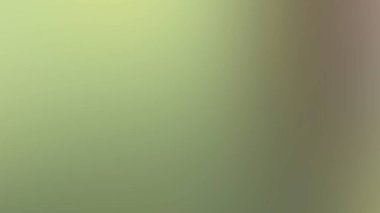 abstract green color and blurred background.