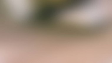 Soyut ışık arkaplan duvar kağıdı rengarenk bulanık yumuşak hareket parlak parlama