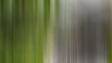 Soyut modern duvar kağıdı, kopyalama alanı olan yaratıcı arkaplan