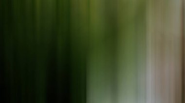 soyut bulanık eğimli arkaplan