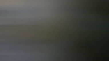 Bulanık arkaplan dokusu, arkaplan