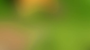 Bulanık eğimli arkaplan. Renkli yumuşak pankart şablonu. Bilgisayar ekranı duvar kağıdı. Basit Gradyan