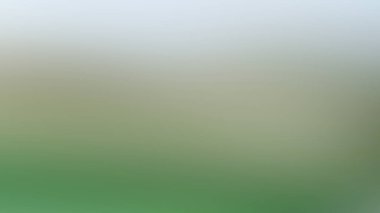 Bulanık ışık izleri arka plan