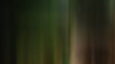 Soyut renkli bulanık arkaplan, hareket kavramı