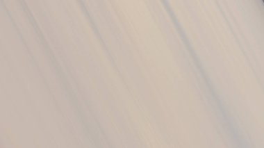 Soyut pastel yumuşak renkli bulanık arka plan bulanıklaştırılmış altın ve beyaz tonlu odak noktası. Duvar kağıdı ya da web tasarımı için kullanılabilir