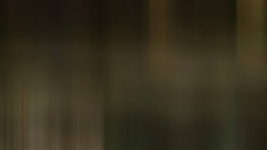 Degrade yeşil arka plan.