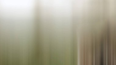 Modern soyut arkaplan, yaratıcı duvar kağıdı tasarımı