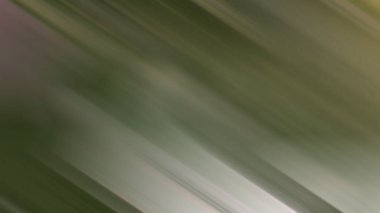 yeşil degrade arka plan bulanık