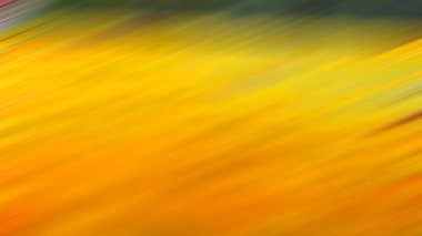 Yapraklı sonbahar arkaplanı