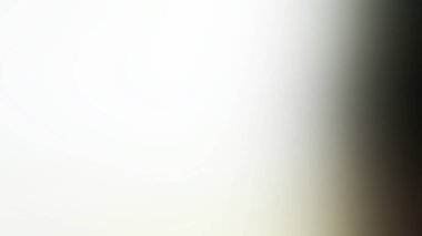 abstract blur background. vector background.