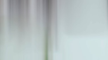 Bulanık cam efektli soyut arkaplan, gölge desenli şablon, koyu arkaplan renginde parlak bulanık desen